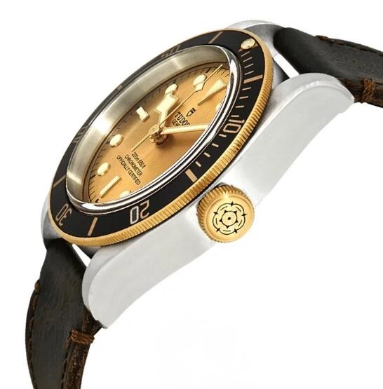 Tudor BLACK BAY S&G M79733N-0003 Replica Watch
